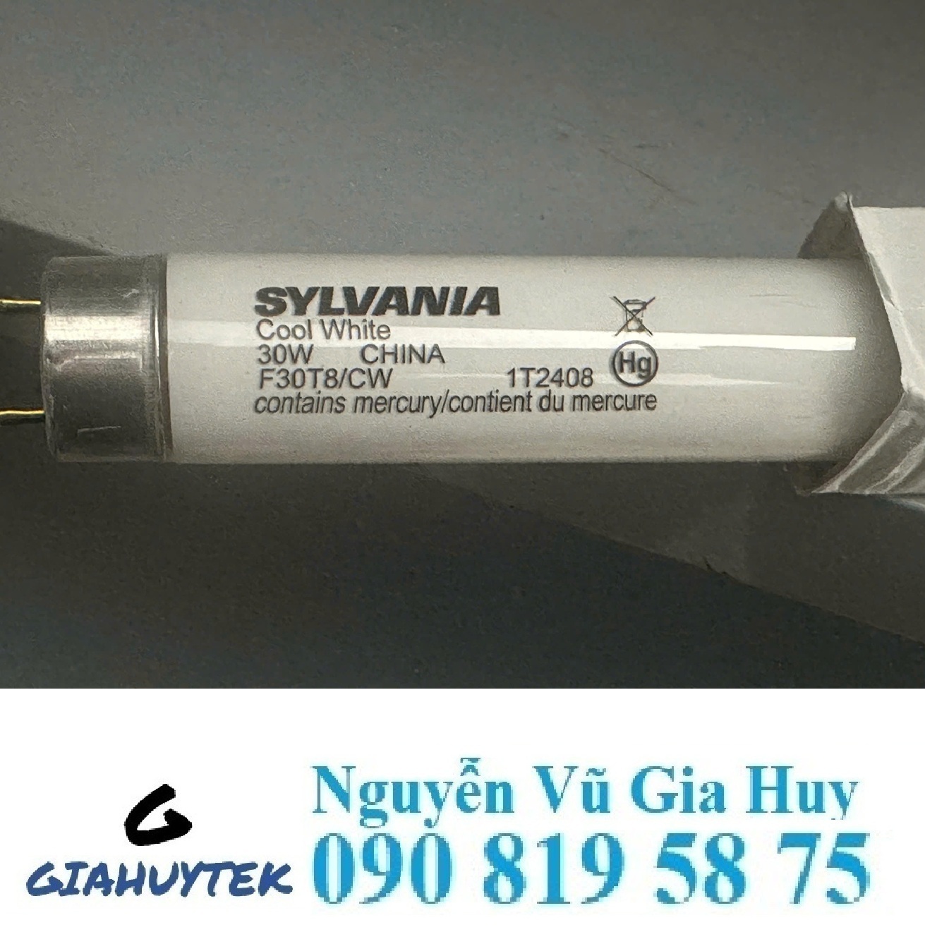 Bóng đèn CWF so màu F30T8/CW cho Spectralight QC